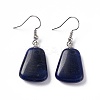 Natural Sodalite Trapezoid Dangle Earrings EJEW-D188-02P-07-1