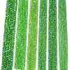 Electroplate Glass Beads Strands EGLA-A044-T8mm-L11-2