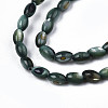 Natural Freshwater Shell Beads Strands X-SHEL-N003-25-B01-3
