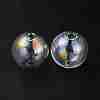 Handmade Two Holes Blown Glass Globe Beads FIND-WH0104-01F-1