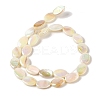Natural Freshwater Shell Beads Strands X-BSHE-H018-06-2
