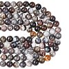 Natural Botswana Agate Beads Strands G-G453-A01-12mm-5