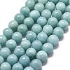 Natural Malaysia Jade Beads Strands G-L645-A01-10mm-25-1