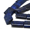 Natural Lapis Lazuli Beads Strands G-K311-07B-3