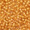TOHO Round Seed Beads SEED-XTR08-0950-2