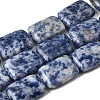 Natural Blue Spot Jasper Beads Strands G-S386-A05-2