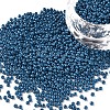 11/0 Grade A Baking Paint Glass Seed Beads X-SEED-N001-A-1013-1