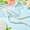 1 Strands Natural Baroque Pearl Keshi Pearl Beads Strands PEAR-TA0001-13-5
