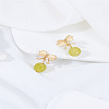 1 Pair Zinc Alloy Glass Dangle Stud Earrings EJEW-LP0007-045-3