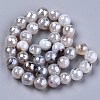 Natural Agate Beads Strands G-N326-76A-2