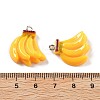 Opaque Resin Pendants RESI-S013-02L-2