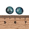 Abalone Shell/Paua Shell Cabochons SSHEL-K003-8MM-3