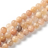 Natural Sunstone Beads Strands G-M373-01C-1