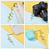 12Pcs Glass & Acrylic & Brass Mobile Straps HJEW-AR00008-3