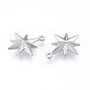 Non-Tarnish 304 Stainless Steel Pendants STAS-N097-256P-3