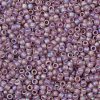 TOHO Round Seed Beads SEED-XTR08-0166F-2