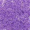 12/0 Glass Seed Beads SEED-A014-2mm-135B-2