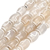 Tibetan Style dZi Beads Strands GG-CBA4812-C04-8X12MM-2