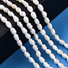 Natural Cultured Freshwater Pearl Beads Strands PEAR-N012-03H-6