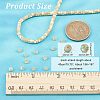 1 Strand Natural Trochid Shell/Trochus Shell Beads Strands BSHE-NB0001-18-3
