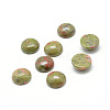 Natural Unakite Gemstone Cabochons X-G-T020-16mm-18-1