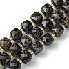 Natural Garnet Beads Strands G-Q010-A11-01-1