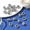Alloy European Beads PALLOY-S079-076AS-5