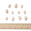 Natural Cowrie Shell Beads BSHE-CJ0002-01-2