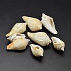Natural Conch Shell Beads BSHE-O007-56-1