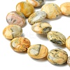 Flat Round Natural Crazy Lace Agate Beads Strands G-S110-05-5