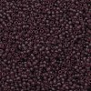TOHO 11/0 Round Beads SEED-XTR11-0006BF-2