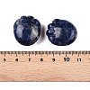 Natural Sodalite Footprint Figurines DJEW-N003-02C-2