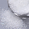Transparent Glass Seed Beads SEED-Q029-C-01-1