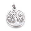 Non-Tarnish 304 Stainless Steel Pendants STAS-F219-04P-1