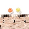 100Pcs Transparent Glass Beads GLAA-P061-01D-4