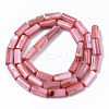Natural Freshwater Shell Beads SHEL-R047-01D-2