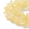 Transparent Glass Beads Strand GLAA-K002-02G-4