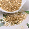MIYUKI Delica Beads X-SEED-J020-DB0099-1
