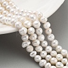 Natural Cultured Freshwater Pearl Beads Strands PEAR-C003-13B-1