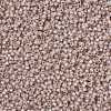 MIYUKI Round Rocailles Beads X-SEED-G008-RR0579-3