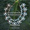 Preciosa® MAXIMA Crystal Round Stones Y-PRC-RBSS29-31110-5