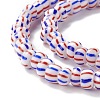 Handmade Lampwork Beads Strands BLOW-K001-01B-07-4