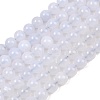 Natural Blue Chalcedony Beads Strands G-K310-C12-8mm-2