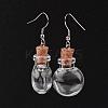 Flat Round Glass Wishing Bottle Dangle Earrings EJEW-JE02040-06-2