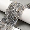 Natural Rainbow Moonstone Beads Strands LS-G-R475-025D-5