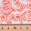 Glass Bugle Beads SEED-S055-A-001-4