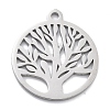 304 Stainless Steel Pendants STAS-L245-016P-1