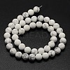 Natural Howlite Beads Strands G-D696-6mm-2
