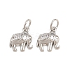 Brass Micro Pave Clear Cubic Zirconia Charms KK-H292-56B-P-1