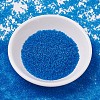 MIYUKI Delica Beads SEED-X0054-DB0787-2